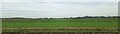 Fields north of Barway Road, from the railway in CB7 5TX