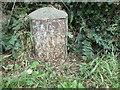 Milestone on Llansteffan Road in SA31 3QU