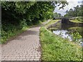 A tranquil basin next to the towpath in WN2 1AB