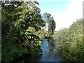 River Exe from Brampford Speke footbridge in EX5 5HP