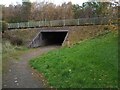 Underpass at Park Drive in Erskine