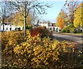 Autumn colours, Stanley in PH1 4NG