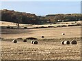 Round bales near Drumbauchly in PH1 3RS
