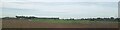 Fields west of Redmoor Plantation, from the railway in CB6 1RZ