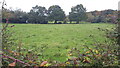 Field beside Bartley Road in SO40 7GN