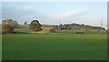 Farmland near Atch Lench in WR11 4SW