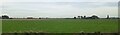 Looking towards Main Drove from the railway in Downham