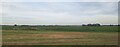 View across the fields to Main Drove, from the railway in CB6 2EQ