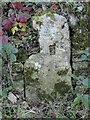 Old Boundary Marker between Sherborne and Windrush in OX18 4TU