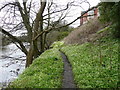 Footpath next to the River Ayr in KA8 0SS