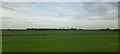 Fields west of Willow Farm, from the railway in PE15 0HB