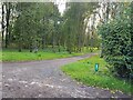 Track through coppice near Stocking Barn Farm in HR6 9PX