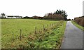 Pasture at Balnahard Farm in KW12 6UN