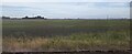 The Dams, north of Manea, from the railway in PE15 0GA