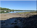 Mud banks near Bank Farm in SA72 4TZ