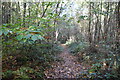 Footpath, Gribble Wood in TN27 8BS