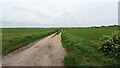 Bridleway Leading to Bloodmoor Barn in NR33 8DR