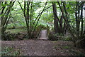 Footbridge, Wealdway in BN27 4DZ