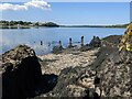 The remains of a pier, perhaps, near Llangwm Ferry Quarries in SA68 0QA