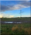 Electricity Pylon near Park House Farm in WN3 5PS