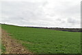 Arable land by footpath in CT14 0HT