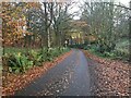 Minor road near Mine Wood in FK9 4PZ