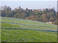 Pasture and woodland, Wargrave in RG10 8PB
