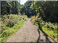 Looking west on the track through Toch Wood in SA67 8EB