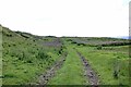 Track to Downhill Quarries (disused) in NE45 5QA