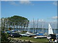 Sailing boats, Grafham Water Sailing Club in Perry