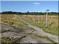One of the bridleways across the disused airfield in SA67 8BZ