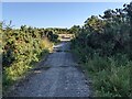 A concrete lane at Templeton disused airfield in Templeton Community