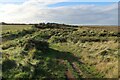 Norfolk Coast Path by Stiffkey Salt Marshes in Stiffkey