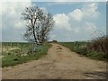 A farm track close to Chignall St. James in CM1 4TS