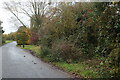 Leighs Road, Little Waltham in CM3 3PS