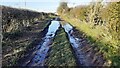 Farmland access track/footpath  NW of Aspatria in CA7 3EH