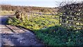 Field gateway on south side of farmland access track at B5301 junction in CA7 3EH