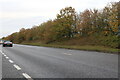 The A130, Little Waltham in CM3 3SA