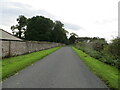Wall and hedge enclosed road near Upsettlington in TD15 1XW