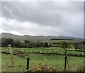 Gwynedd countryside in Llanuwchllyn Community