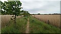 Former Railway Embankment near Blythburgh in IP19 9LP