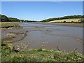 Cleddau Wen/Western Cleddau at low tide in SA62 4ET