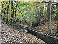Boundary wall crossing an un-named stream in Path Head Wood in NE21 4SR