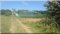 Watering the potatoes in South Cove