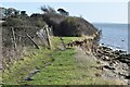 Cliff path erosion west of Solent Breezes in Hook Park Estate