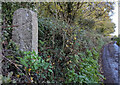 Old Guide Stone south of Hennock in TQ13 9QH