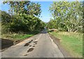 Hedge and tree-lined minor road between Ladyflat and Gavinton in TD11 3QU