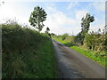 Hedge-lined minor road heading towards Cothill in TD11 3QX