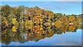 Autumnal reflection in Damflask Reservoir in S6 6HH
