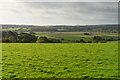 Pasture, Isle of Oxney in TN30 7HN